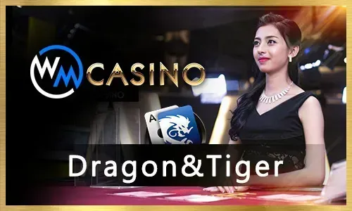 Microgaming Gaming